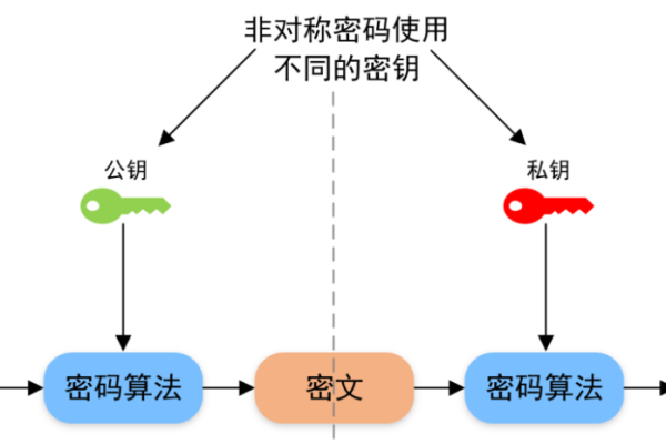 数据加密分为什么类型