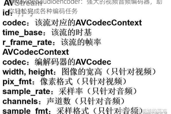 xvidcore 是什么？它在视频编码中扮演什么角色？