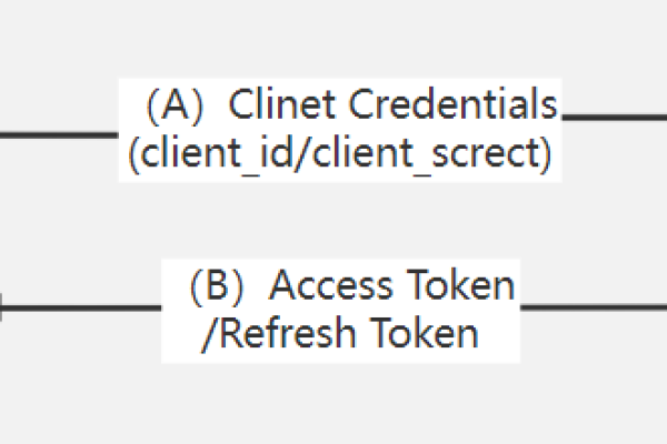 如何确保clientid的安全性和隐私保护？