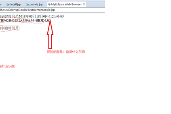 document.cookie有可能获取不到吗  第1张