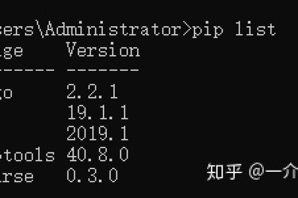 您如何正确使用pip来更新Python包？