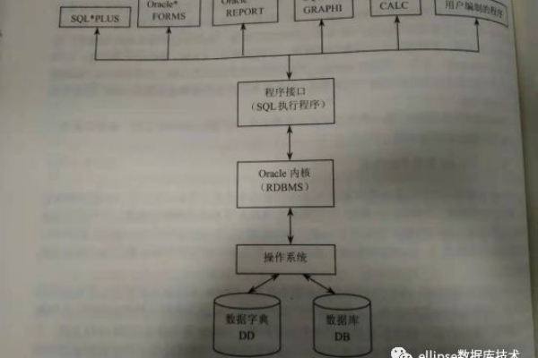 Oracle数据库在NZAOU中的应用与探索  第1张