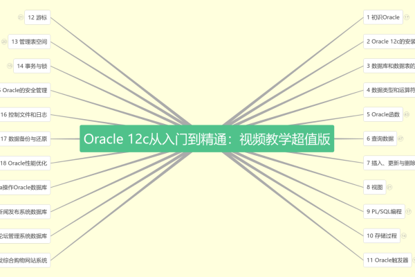 Oracle入门经典视频学习指南