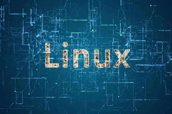 选择合适的Linux系统，打造高效虚拟主机 (虚拟主机用哪个linux系统好)