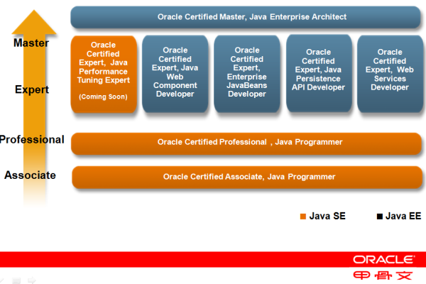 Oracle ACE 总监成就被认可  第1张