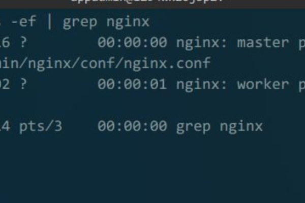 Linux如何查看nginx服务是否运行