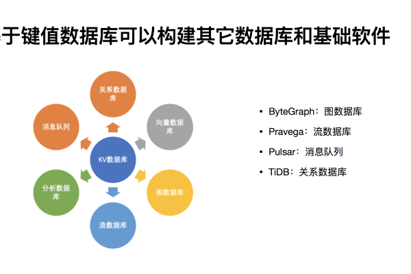 数据的唯一选择  第1张