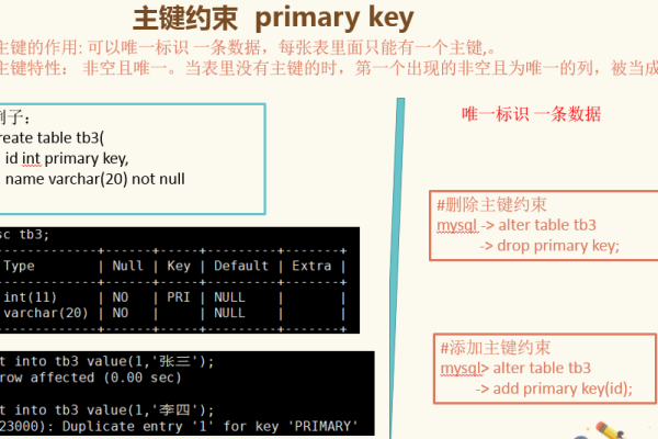 MySQL中主键外键约束详解