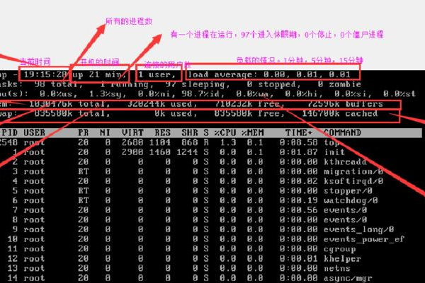 如何在Linux中查看进程信息和管理进程