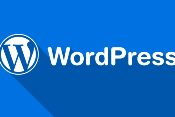 wordpress如何限制用户  第1张