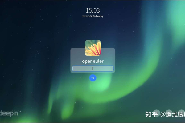 云服务器deepin卡在登录界面怎么办？