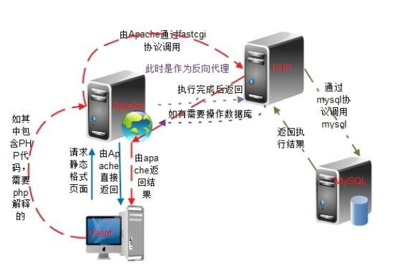 如何在CentOS中安装和配置LAMP堆栈