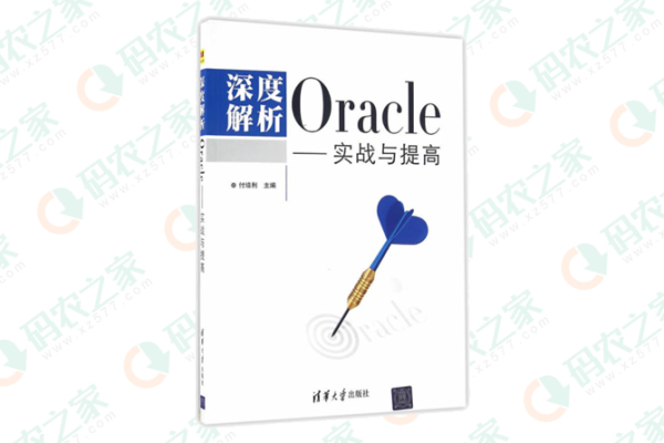 Oracle 长路漫漫，踏破彼岸见真理  第1张