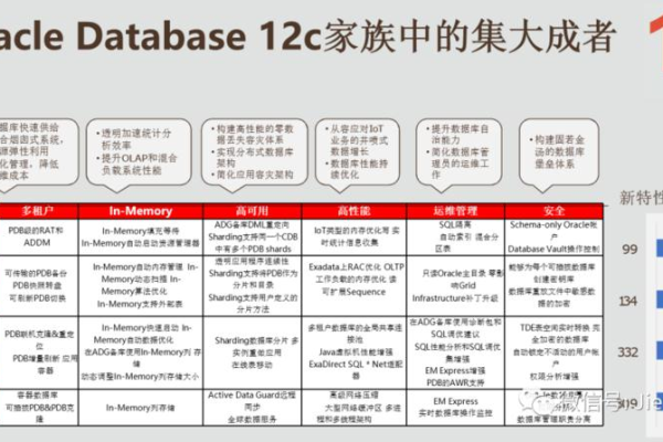 Oracle 11g 高性能体验体验最新的科技享受