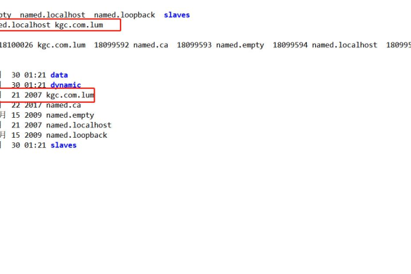 centos7服务器配置dns配置  第1张