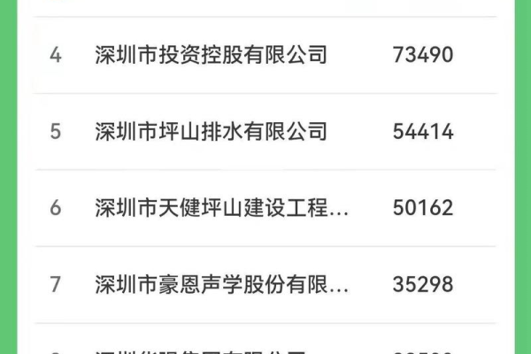 深圳市网络公司排行榜  第1张