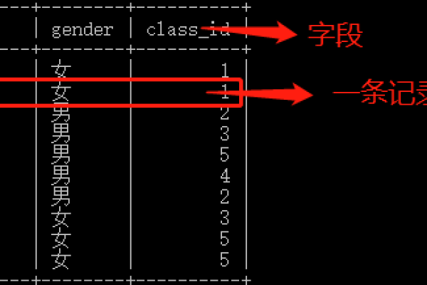 快速学习MYSQL如何向表中插入数据