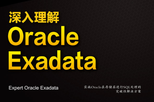 Oracle之路一部探索人生意义的电影