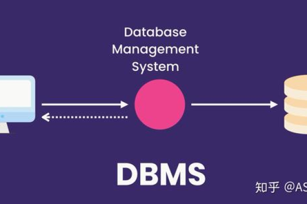 dbms属于什么，dbms包括哪几种（dbms 包括）