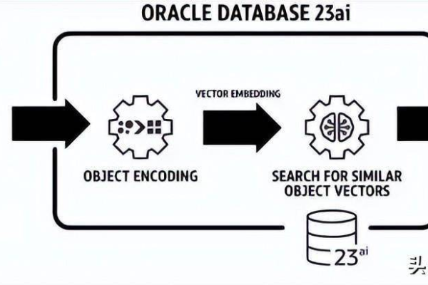 时间段内，Oracle释放神奇能量