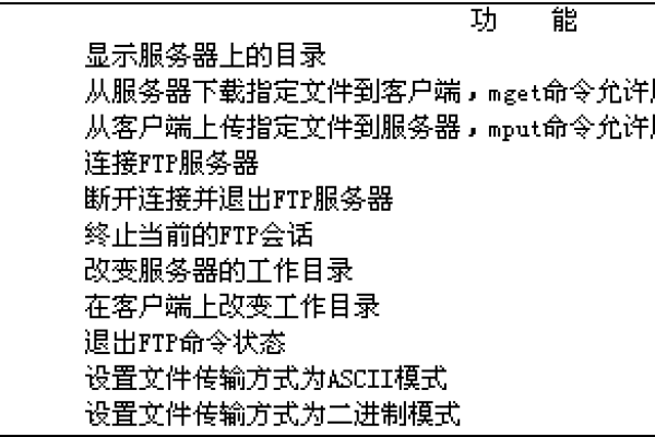 ftp虚拟主机名怎么设置  第1张