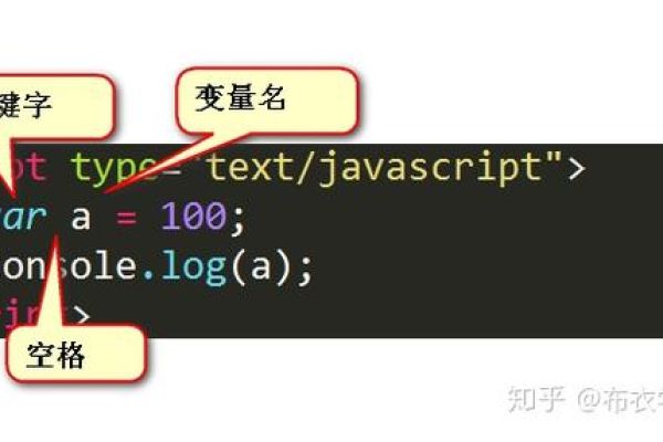 javascript变量的特点  第1张