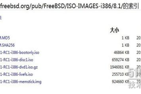 FreeBSD中如何查找和安装新的软件包