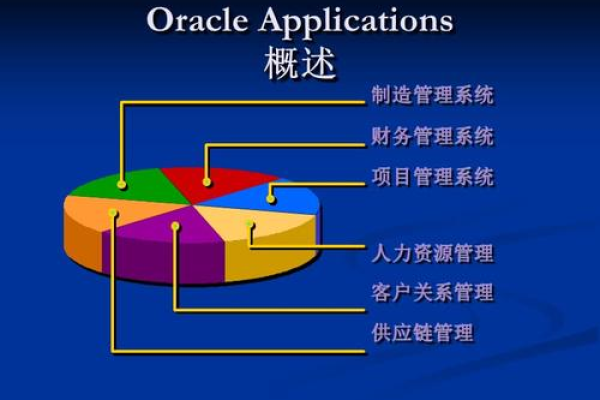 利用Oracle提升财务管理水平