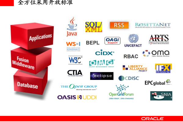 Oracle 14039在大数据时代的集成应用价值  第1张