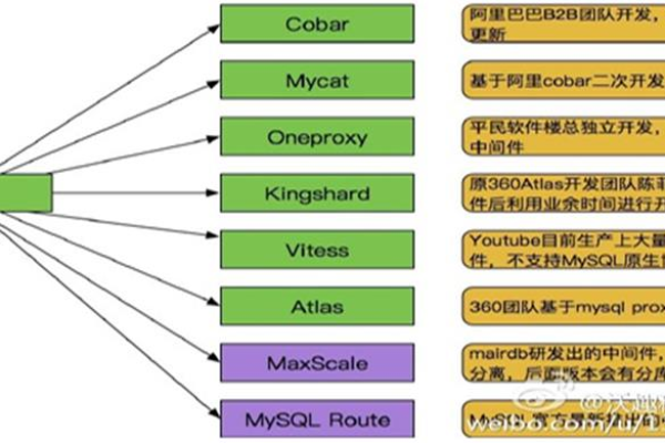 SQL域名详解：探索域名在数据库中的应用和优化方法  第1张