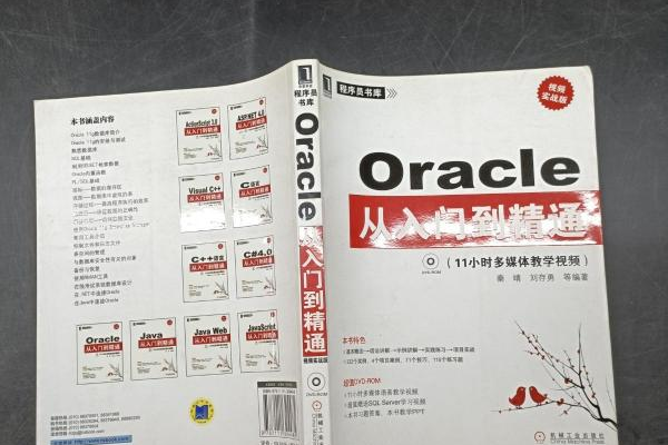 Oracle12开发指南从入门到精通