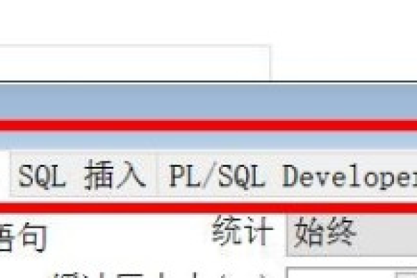 plsql输入报错空白