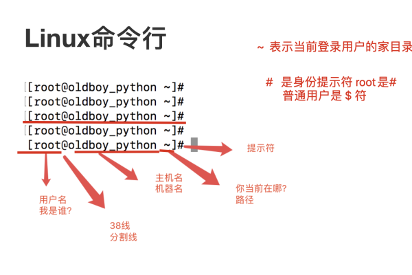 linux怎么终止当前命令