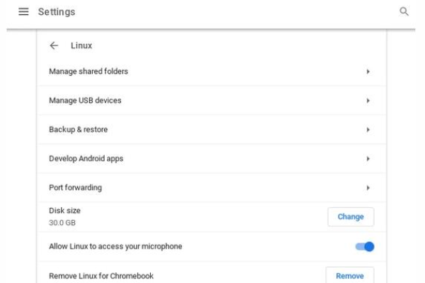 Chromebook 如何运行 Linux？