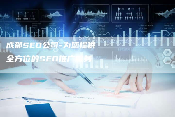 成都专业seo公司  第1张