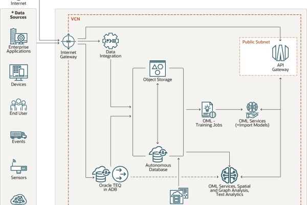 使用Oracle API平台提高工作效率