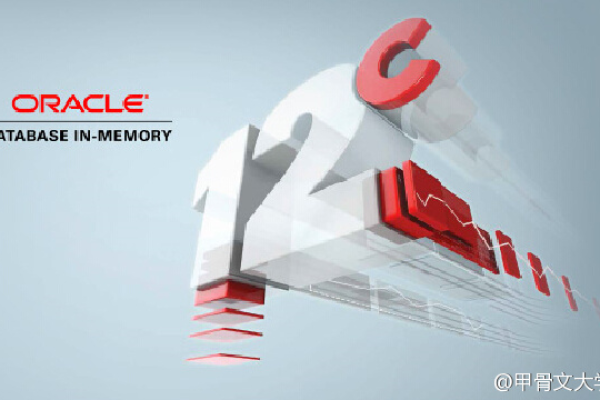 Oracle 8 发布20年前的奇迹