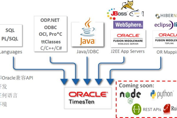 oracle中integer类型有哪些特点