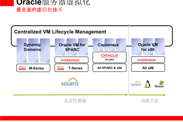 展翅高飞Oracle交换机的强势上市  第1张