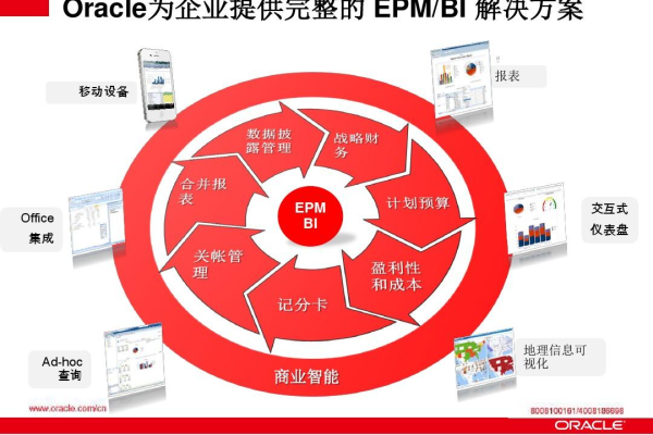 利用Oracle HPCM尽情启发企业管理精彩之路