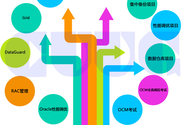 Oracle OCM职业发展之路从提升工资到谋取财富  第1张