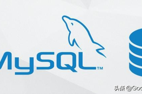 MySQL入门指南轻松掌握数据库使用技巧