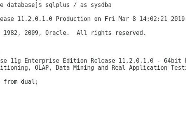 Oracle 10g环境下的数据库监听搭建实践  第1张