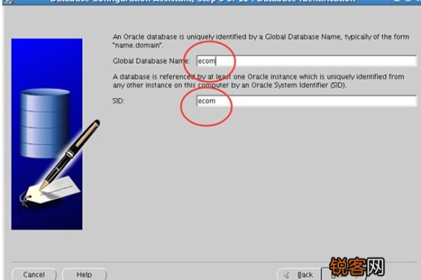 版Oracle10g免费下载活动开启  第1张