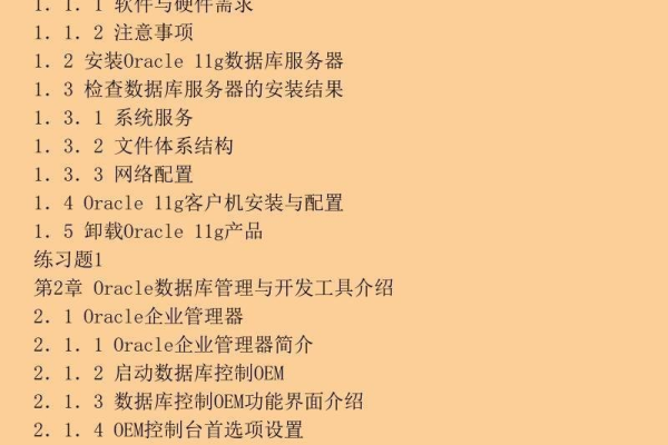 Oracle 11数据库轻松上手使用指南