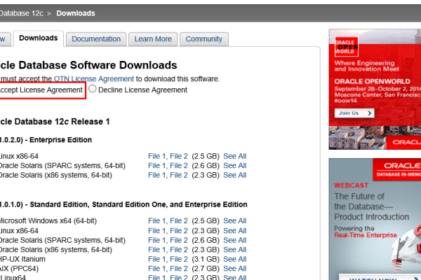 oracle11g内存参数调整  第1张