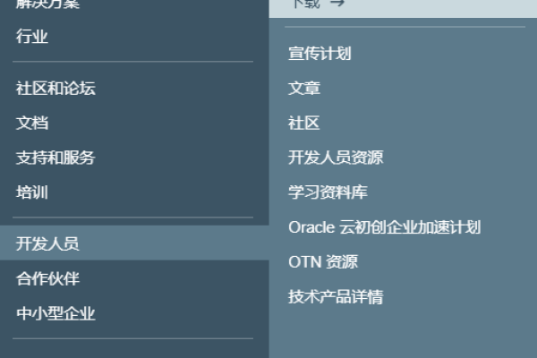 Oracle 11 版本下载链接发布  第1张