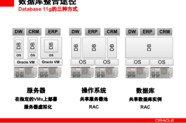 Oracle双机容错稳健存储技术  第1张