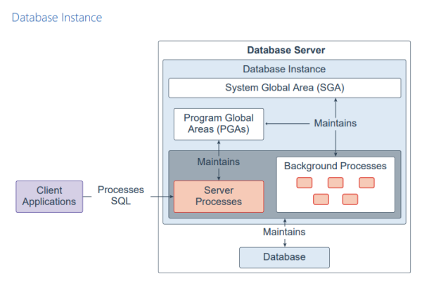 建立在Oracle Trustef Oracle数据库的基础上构建未来倚赖Oracle Trustef Oracle数据库的Oracle DB