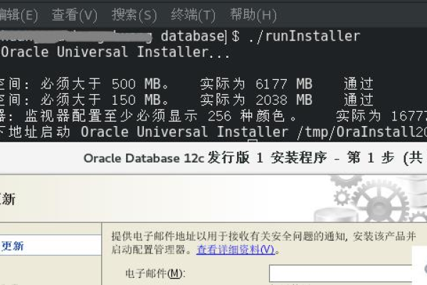 Oracle 11中文乱码问题深度解析